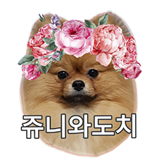 개편한까페 이미지