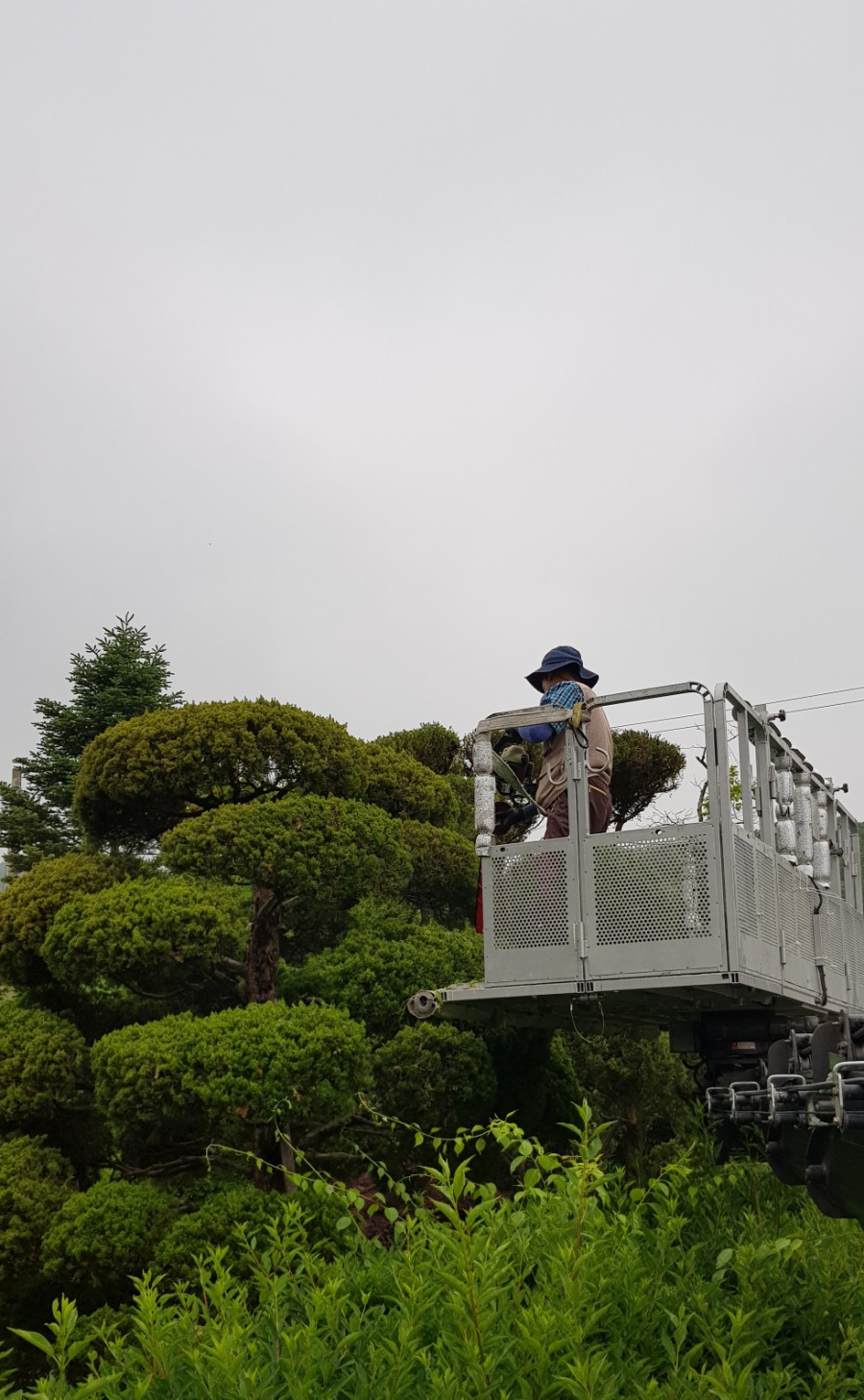 심경농원 이미지