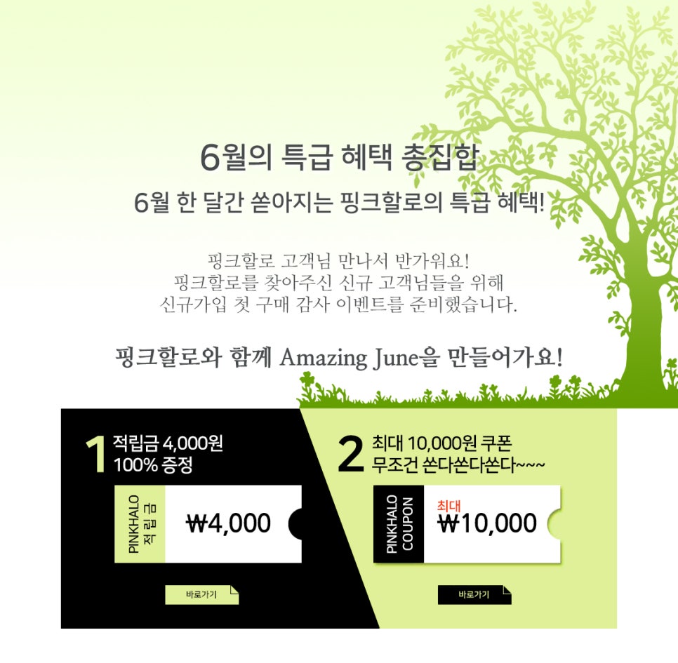 할로디자인 이미지