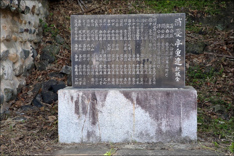 소우정 이미지