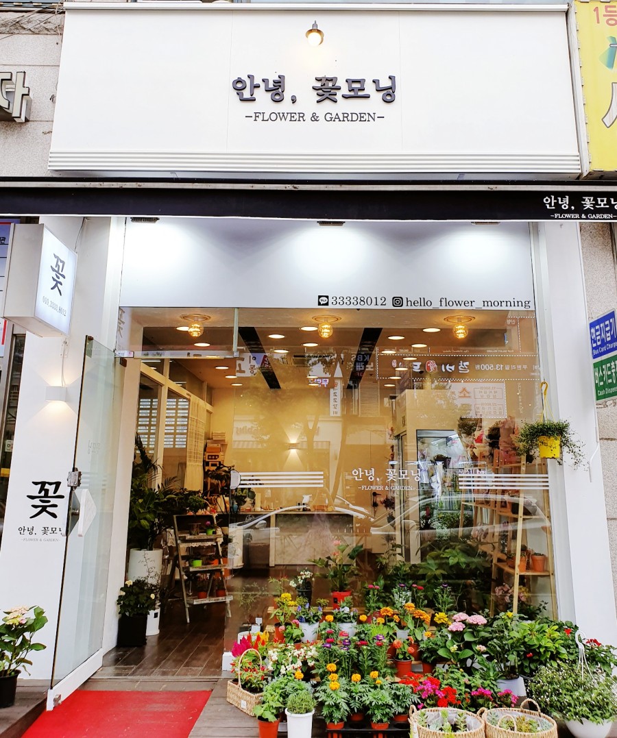 안녕;꽃모닝 이미지