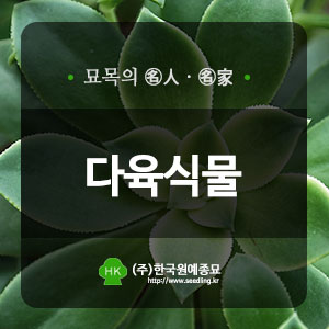한국원예종묘 이미지