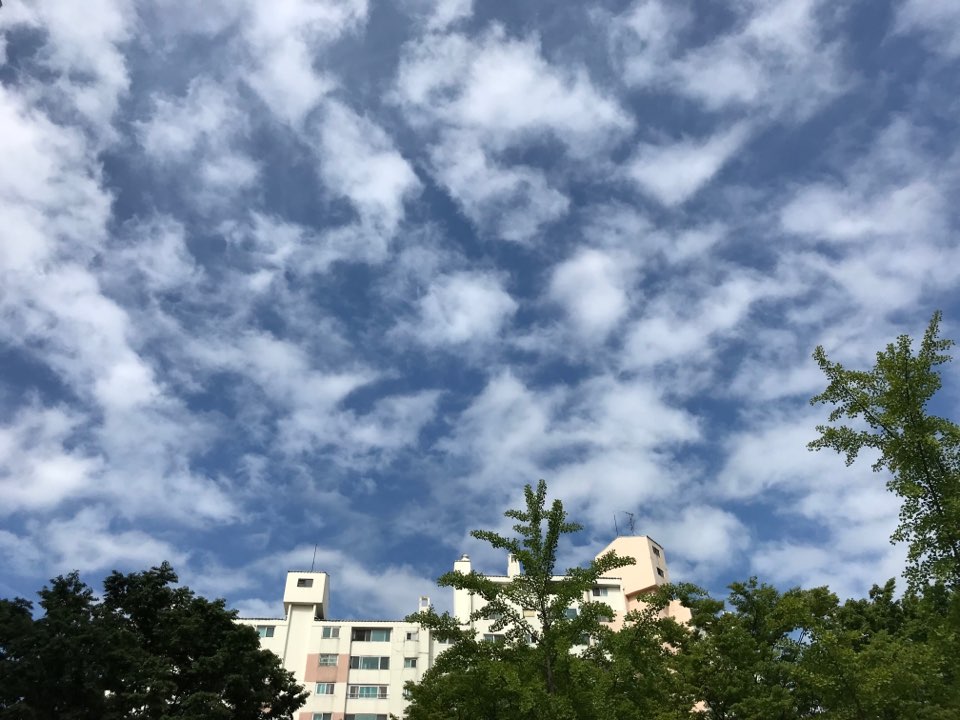 두리서울치과 이미지