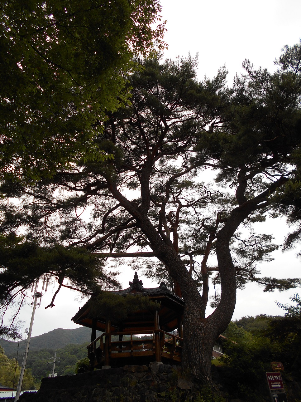 지리산꽃담 이미지