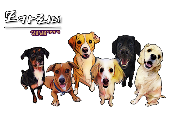 이노스앤 이미지