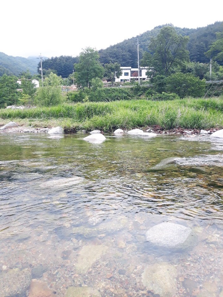 소금강버들펜션 이미지