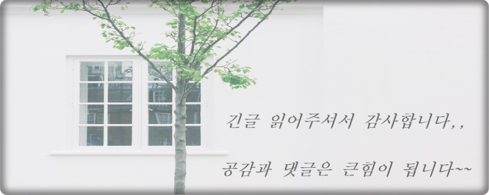에비뉴명품샵 이미지