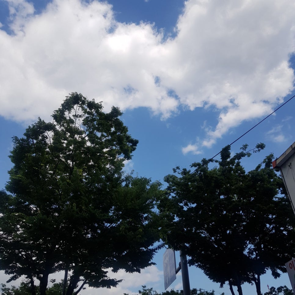 마키즈시 이미지