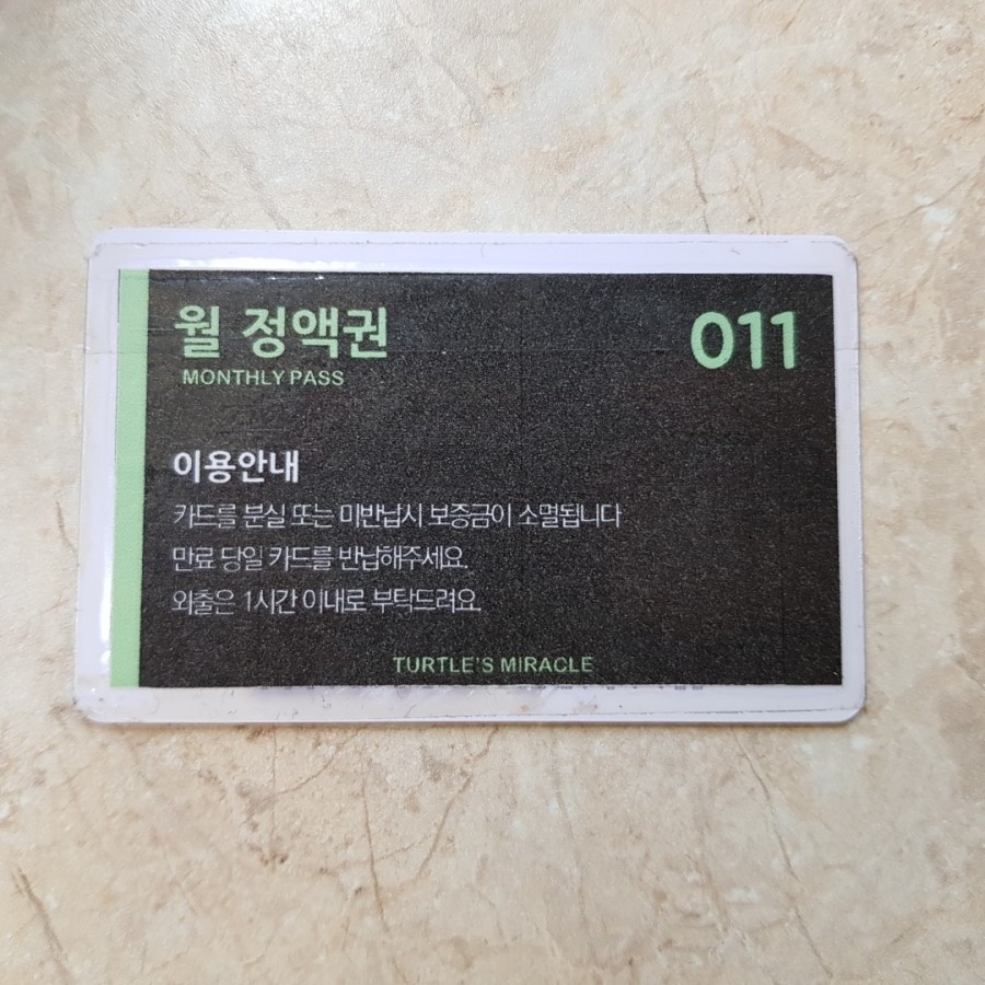 거북이의기적 이미지