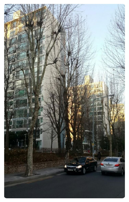 성모웰피부과의원 이미지