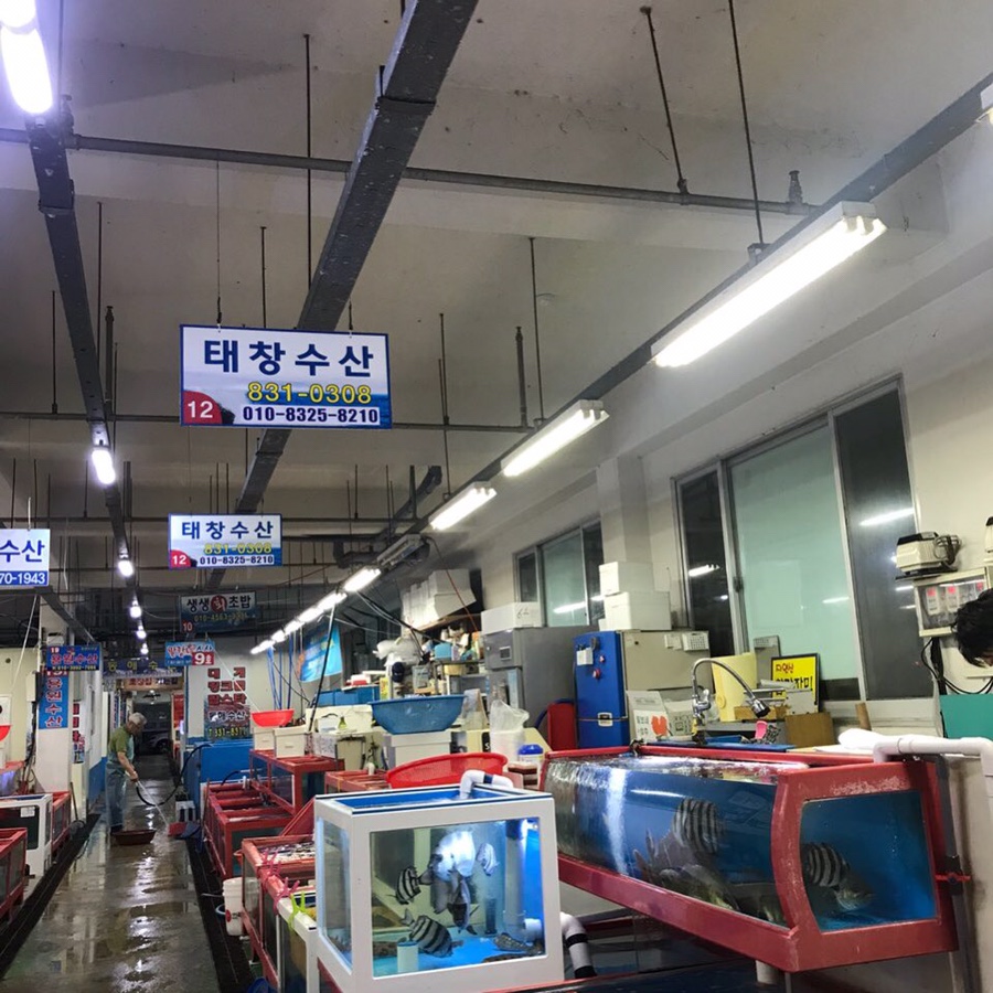 태창수산 이미지