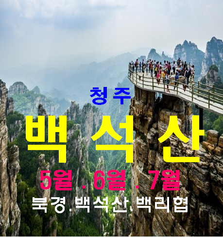 (주)신세계항공여행사 이미지