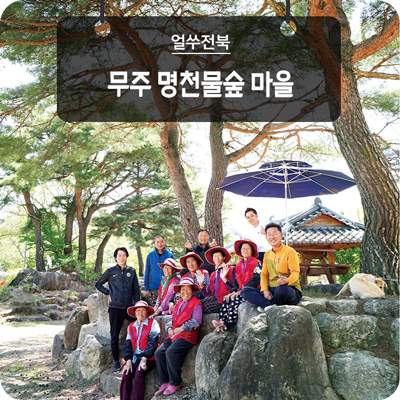 솔향노래마을 이미지