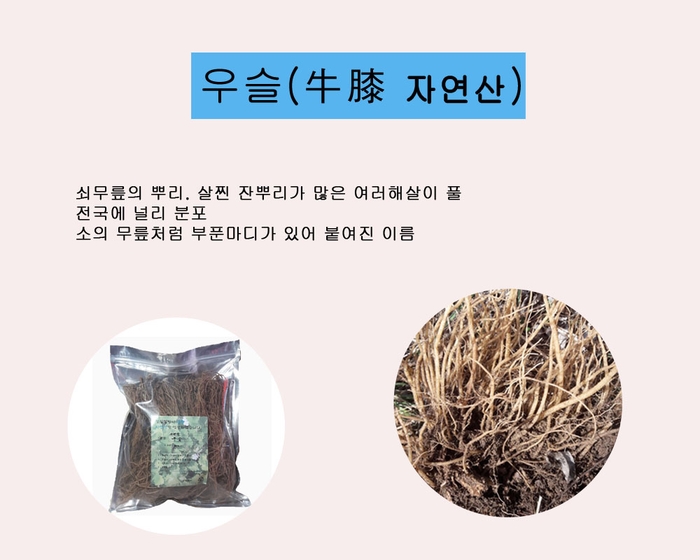 강원약초농산 이미지