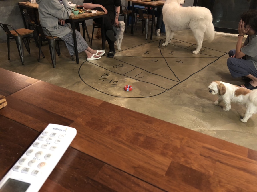 엉알펍 이미지
