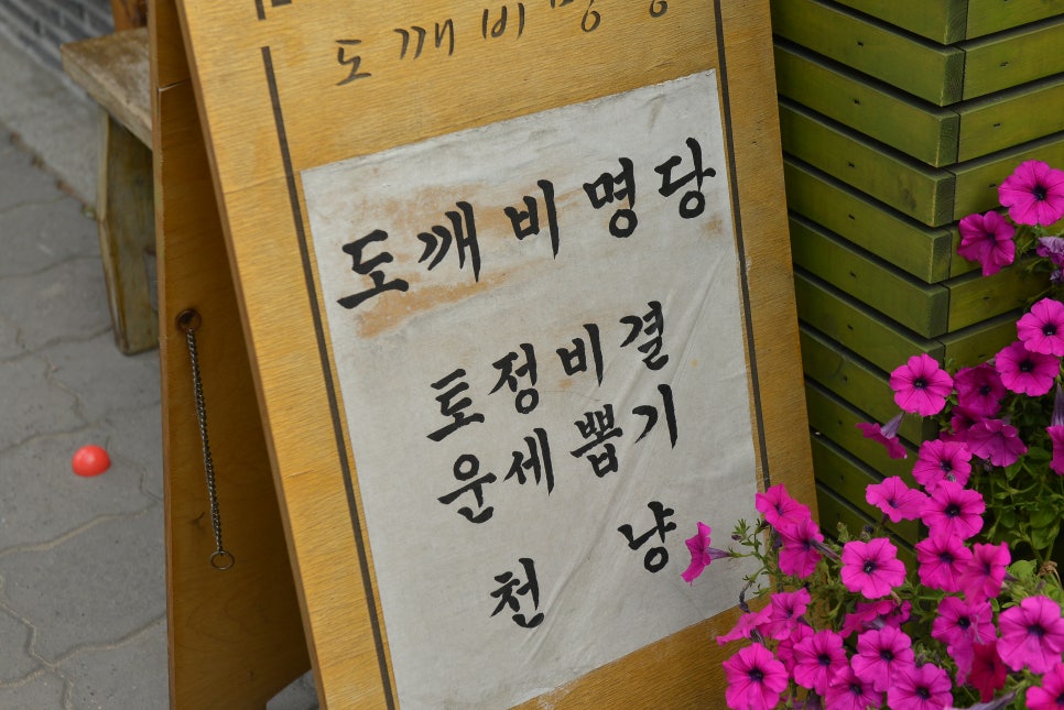 보코이 이미지