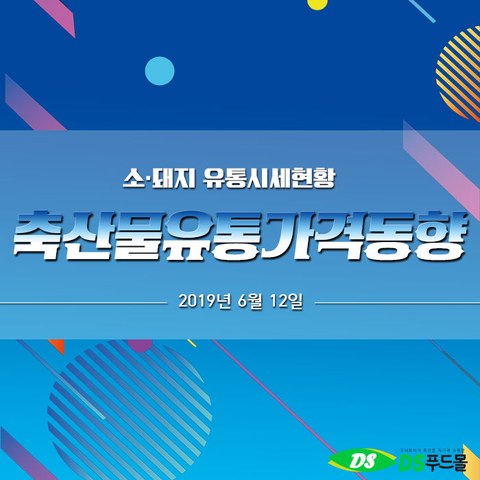 디에스유통 이미지