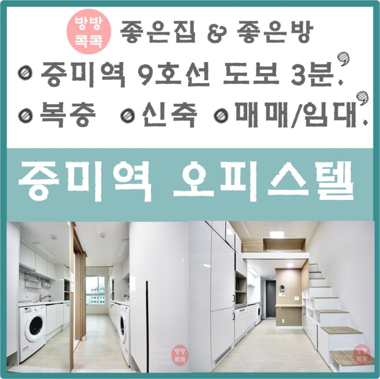 맥시하우스 이미지