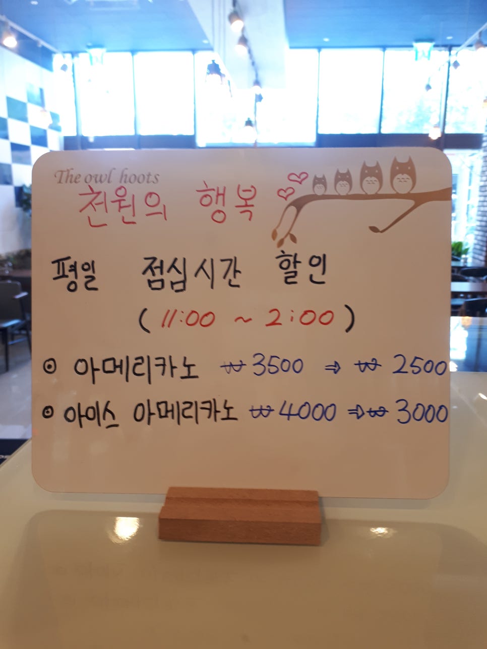 블루빈 이미지