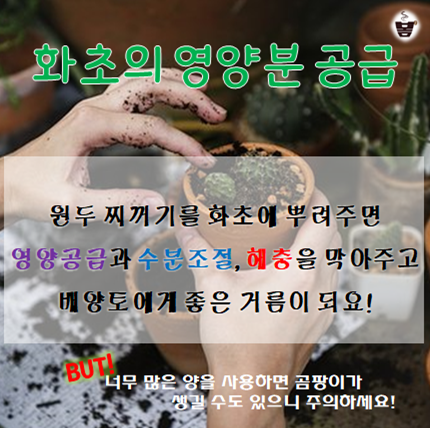 커피 팩토리 봄 이미지