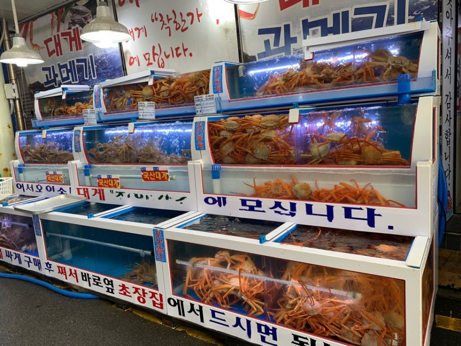 구룡포수산 이미지