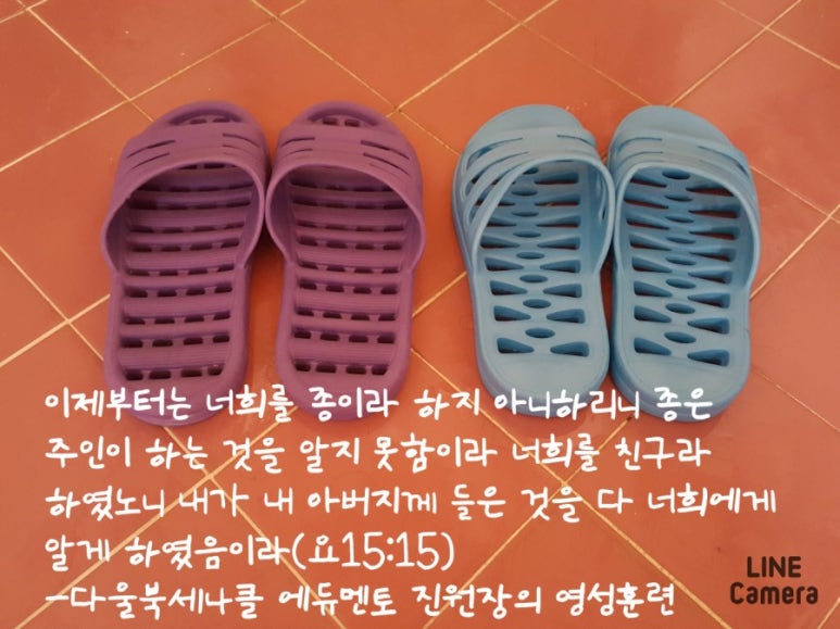 다울에듀 이미지