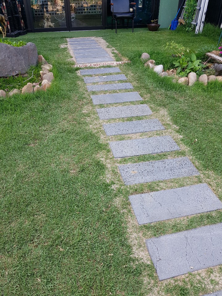 세라핌모아 이미지