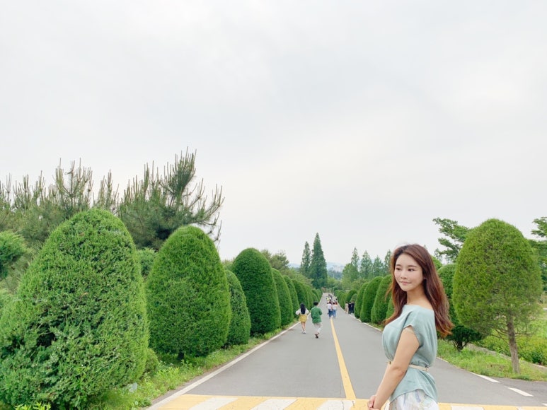 영산산림 이미지
