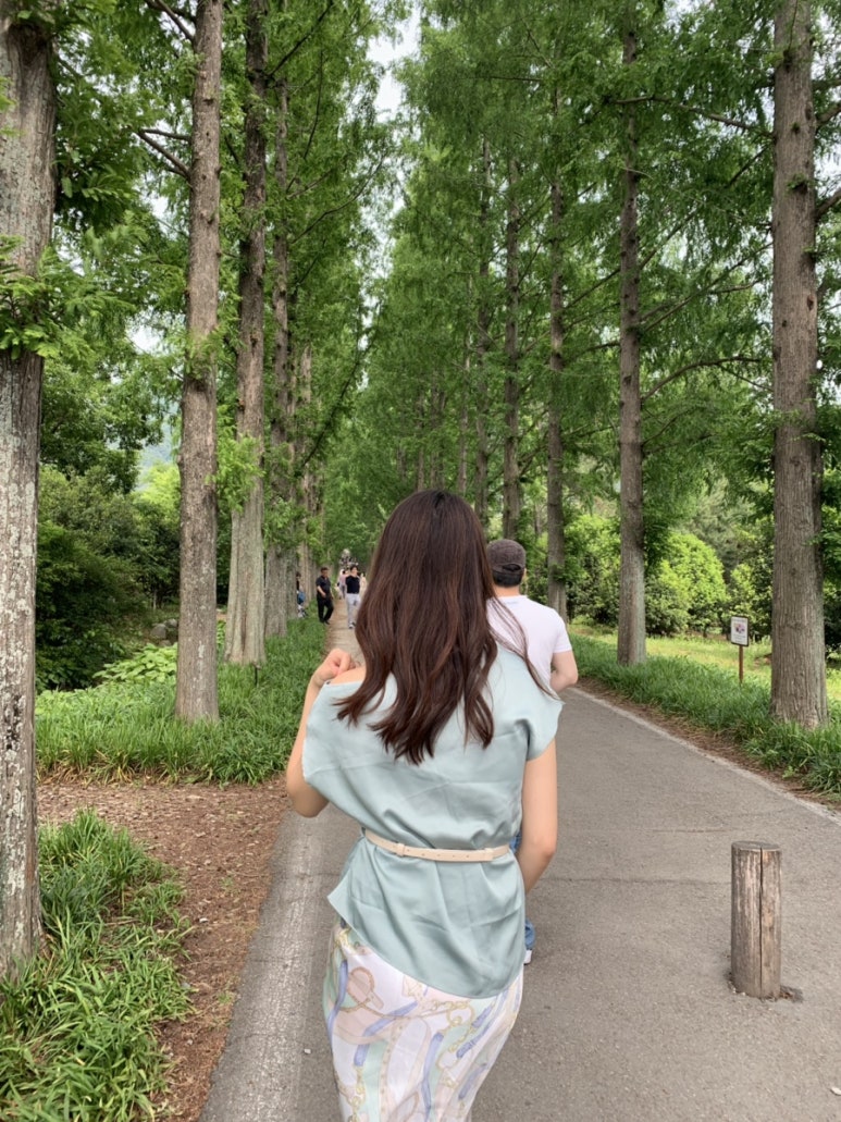 영산산림 이미지
