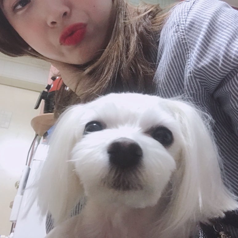 지오피부과의원 이미지