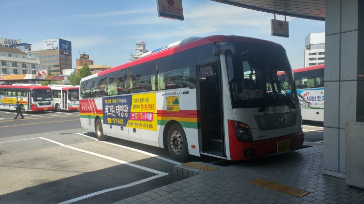 주*례 이미지