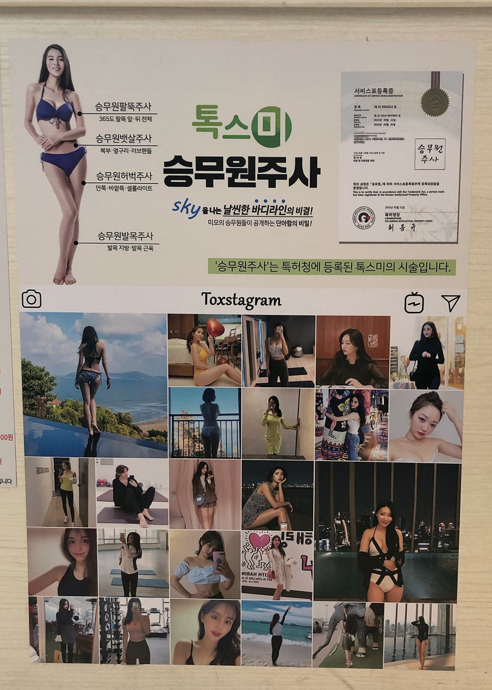 돈오야 이미지