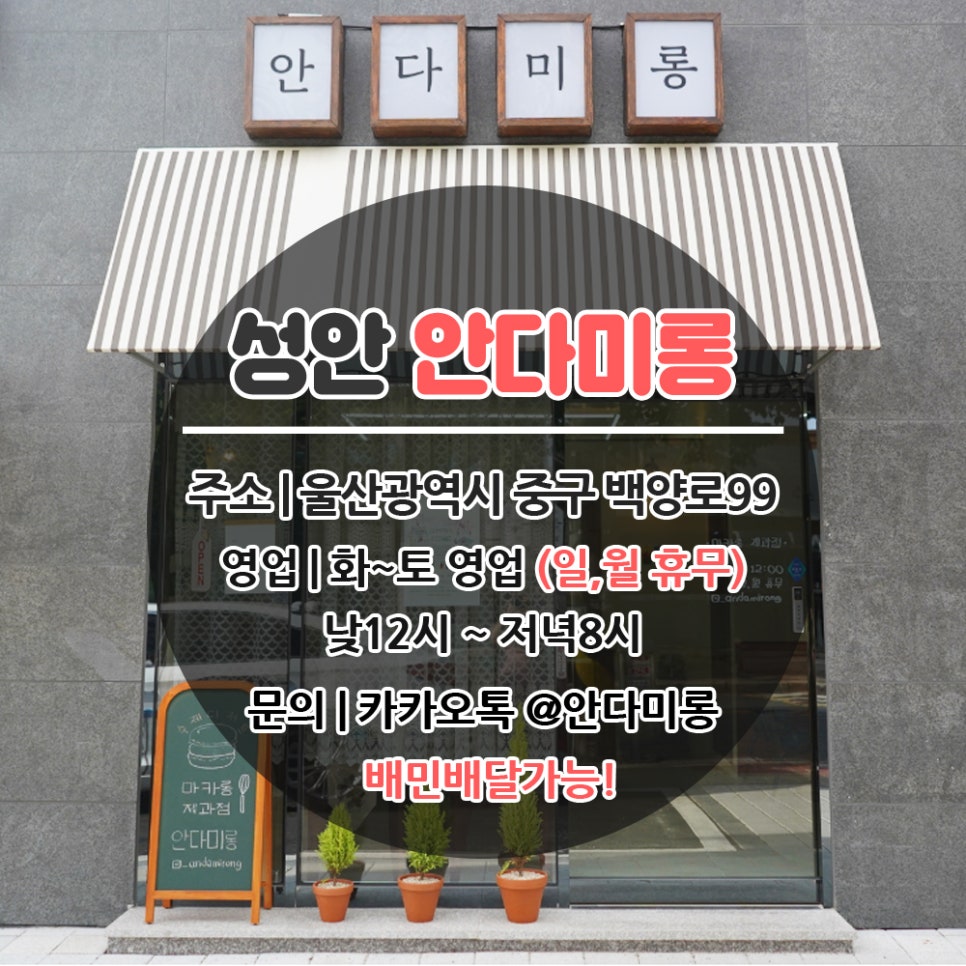 안다미롱 이미지