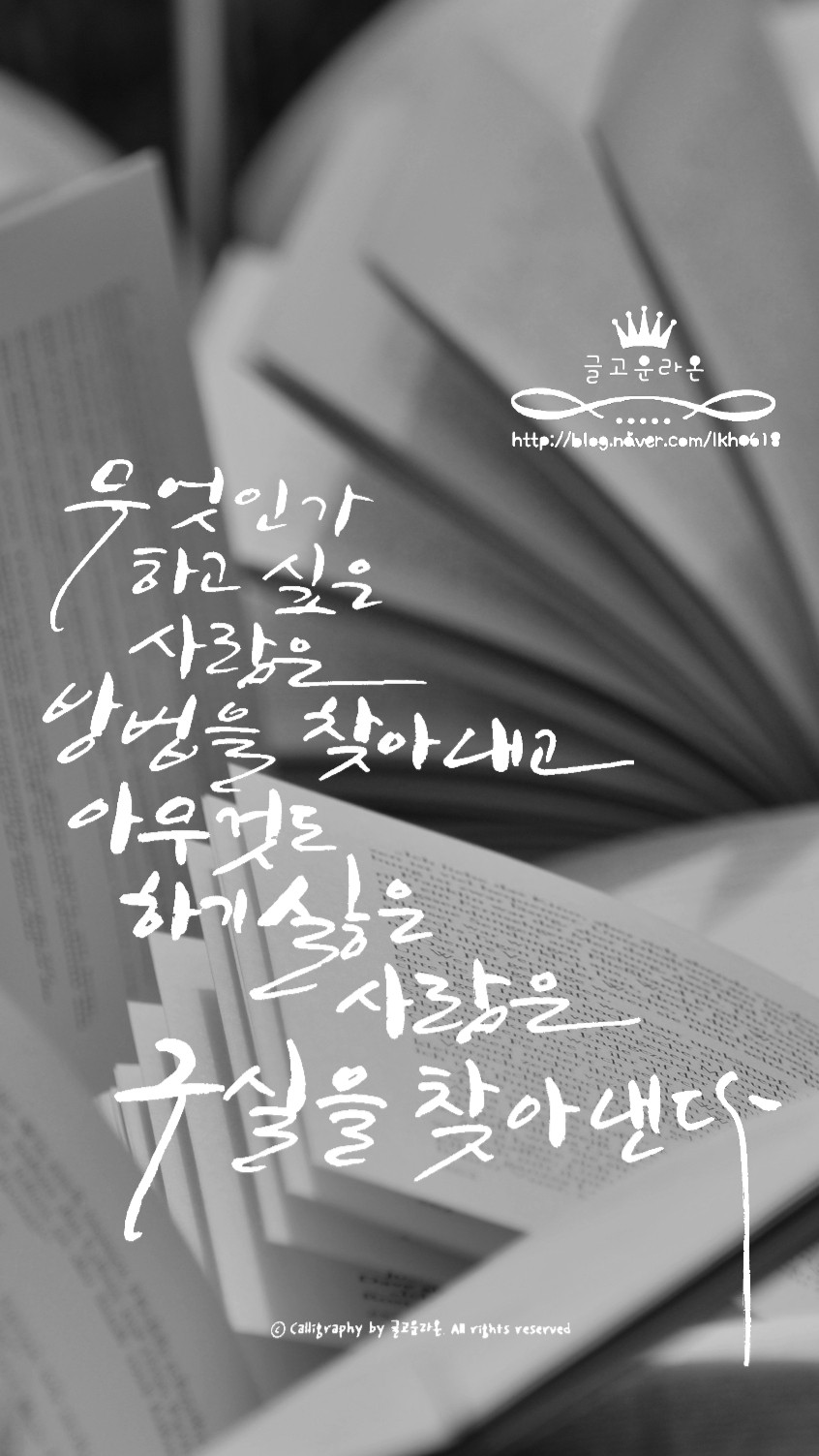 캘리스토리 이미지