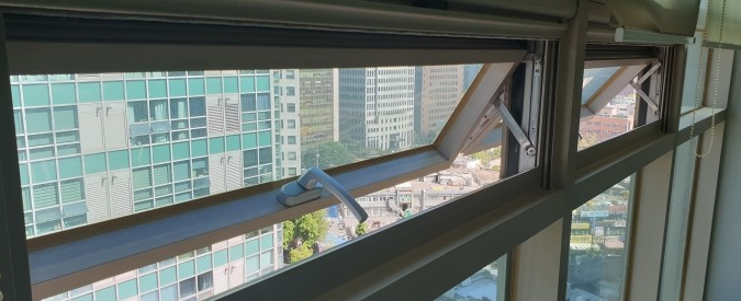 해바라기파출 이미지