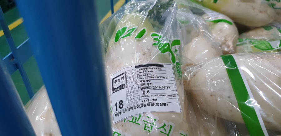 포항시학교급식지원센터 이미지