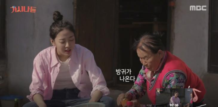 가시나 이미지