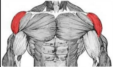 웅Gym 이미지