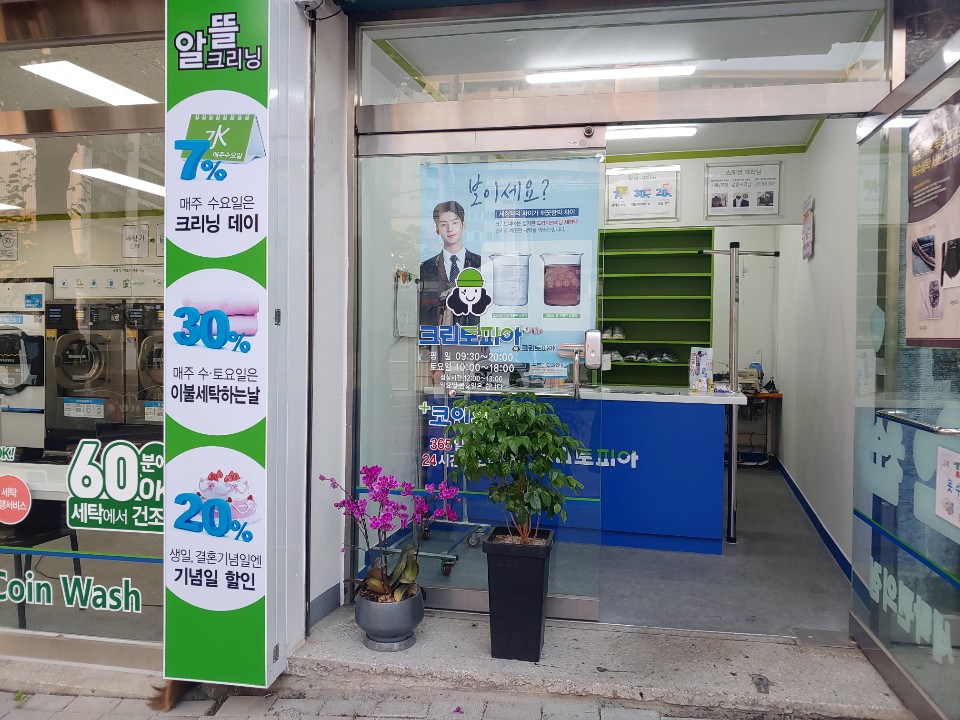 크린토피아코인워시대전 이미지