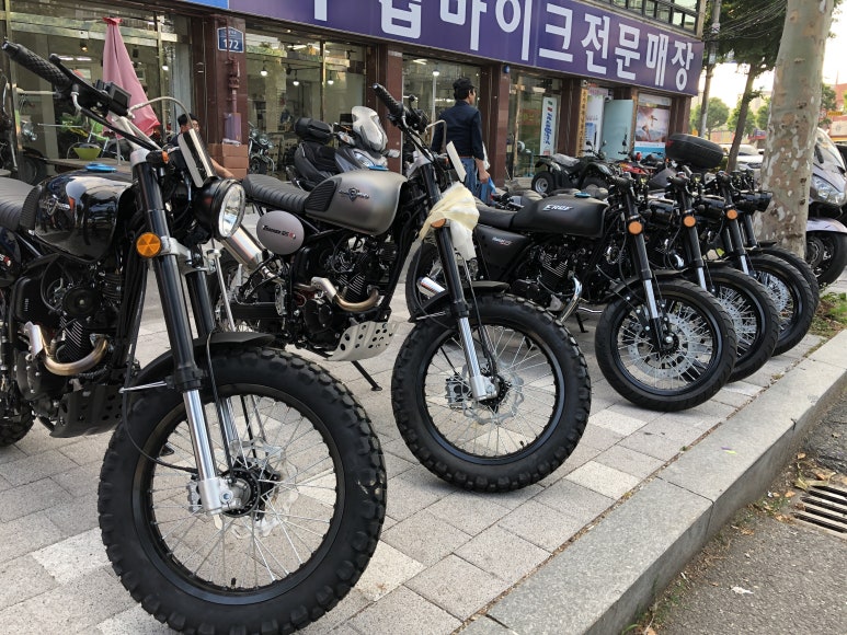 나사모터스 이미지