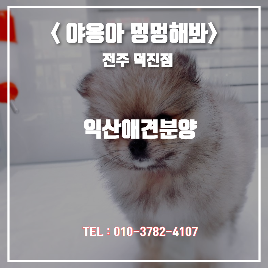 머리하러가자 이미지