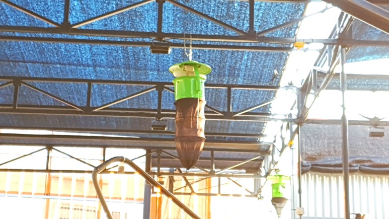 워시존 병점점 이미지