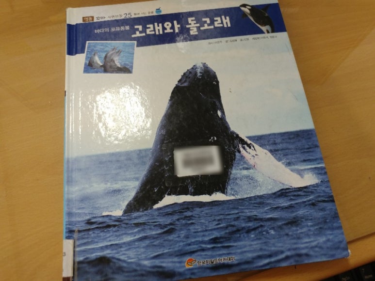 돌고래사과 이미지
