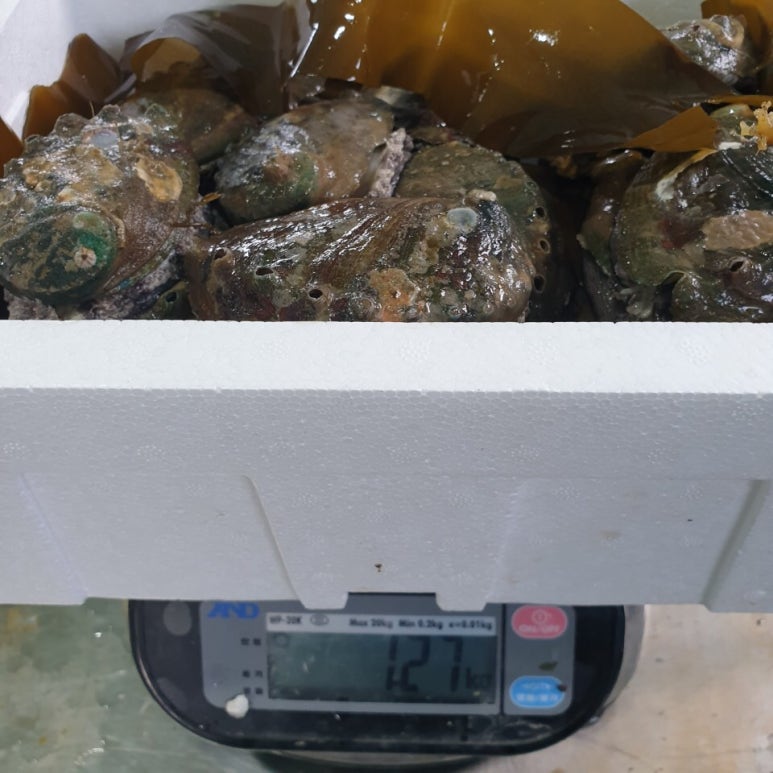 청해수산영어조합법인 이미지