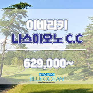 나스투어 이미지