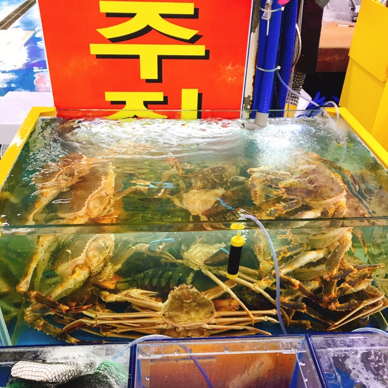 미숙이회수산 이미지