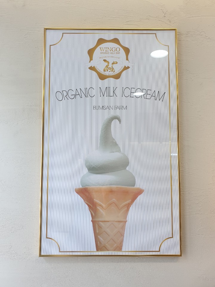 윙고 이미지