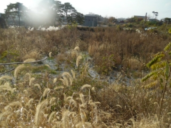 [국도32] 당진시 거산리 이미지