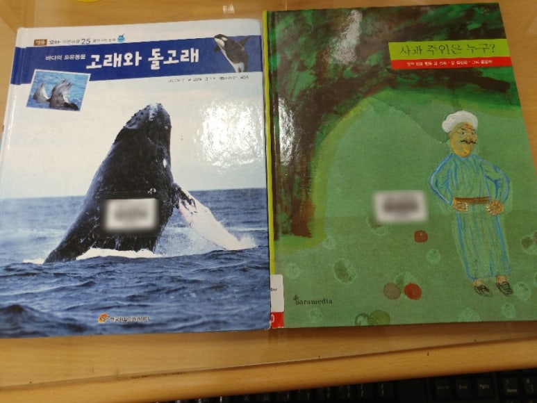돌고래사과 이미지
