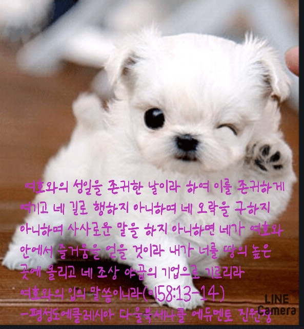 다울에듀 이미지
